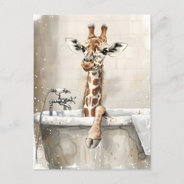 Giraffe in a bath. postcard (Front)