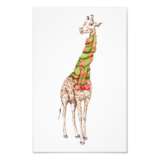 Giraffe in a Scarf Photo Print (Front)
