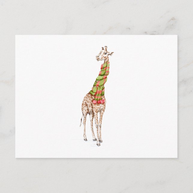Giraffe in a Scarf Postcard (Front)