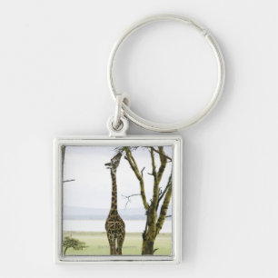 Giraffe in Kenya, Africa Keychain