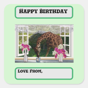 Giraffe In My Window, Birthday Square Sticker