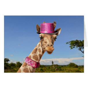 Giraffe in sparkly pink hat
