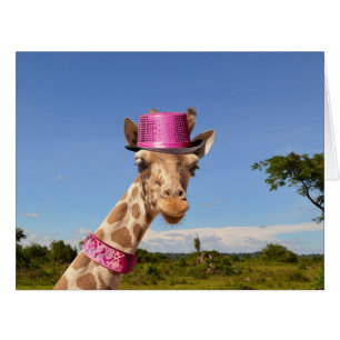 Giraffe in sparkly pink hat