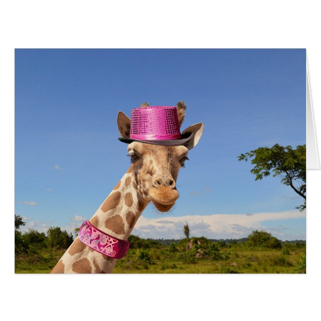 Giraffe in sparkly pink hat (Front Horizontal)