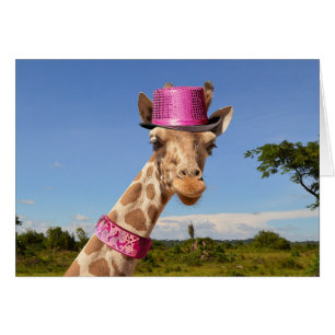 Giraffe in sparkly pink hat