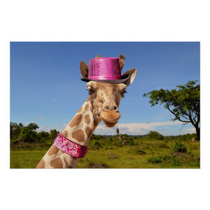 Giraffe in sparkly pink hat poster