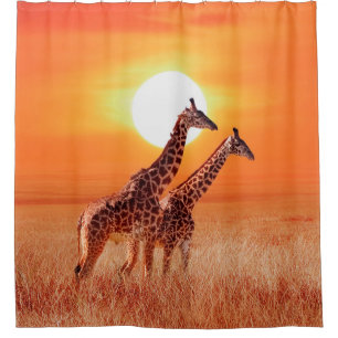 Giraffe in the African savanna against the backdro