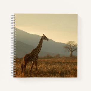 Giraffe in the Savannah Notebook