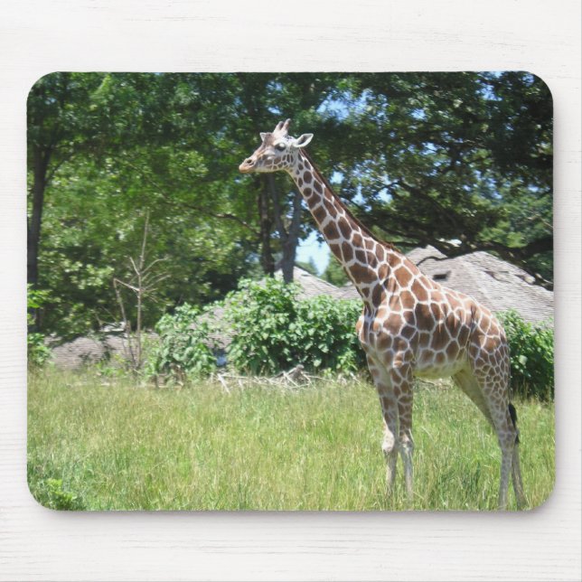 Giraffe in the wild mouse pad (Front)