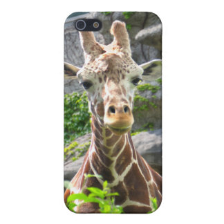 Giraffe Case For The iPhone 5