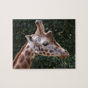 Giraffe Jigsaw Puzzle