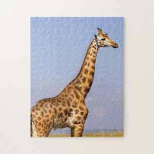 giraffe jigsaw puzzle