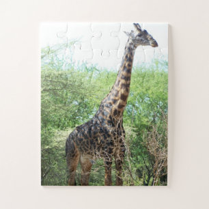 Giraffe Jigsaw Puzzle