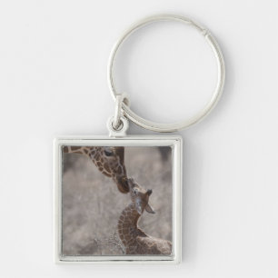 Giraffe, Kenya, Africa Keychain