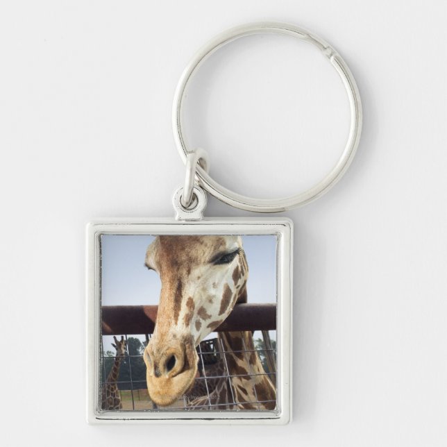 Giraffe Keychain (Front)