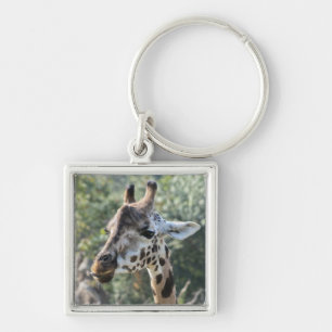 Giraffe Keychain