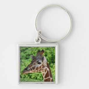 giraffe keychain