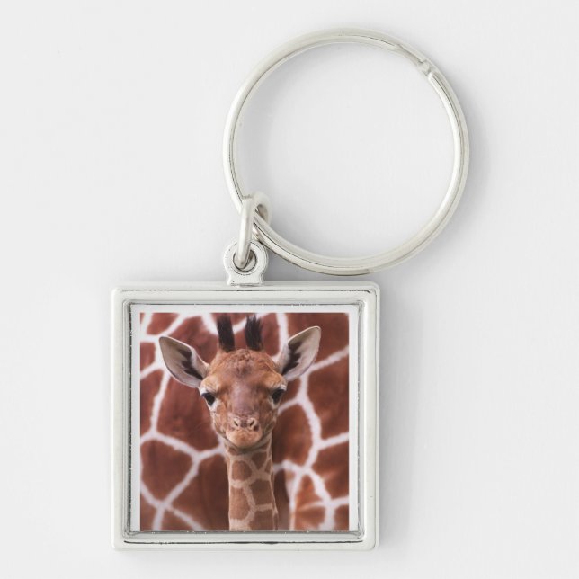 Giraffe Keychain (Front)