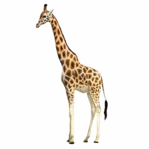 Giraffe Keychain Photo Sculpture Keychain