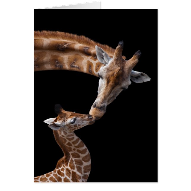 Giraffe Kisses Card (Front)