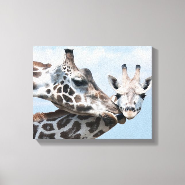 Giraffe Kisses Her Calf Canvas Print (Front)