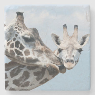 Giraffe Kisses Her Calf Stone Coaster