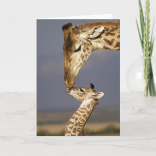 Giraffe Kissing Baby Giraffe Card