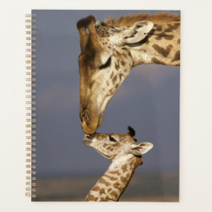 Giraffe Kissing Baby Giraffe Planner