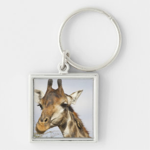 Giraffe, Kruger National Park, South Africa Keychain
