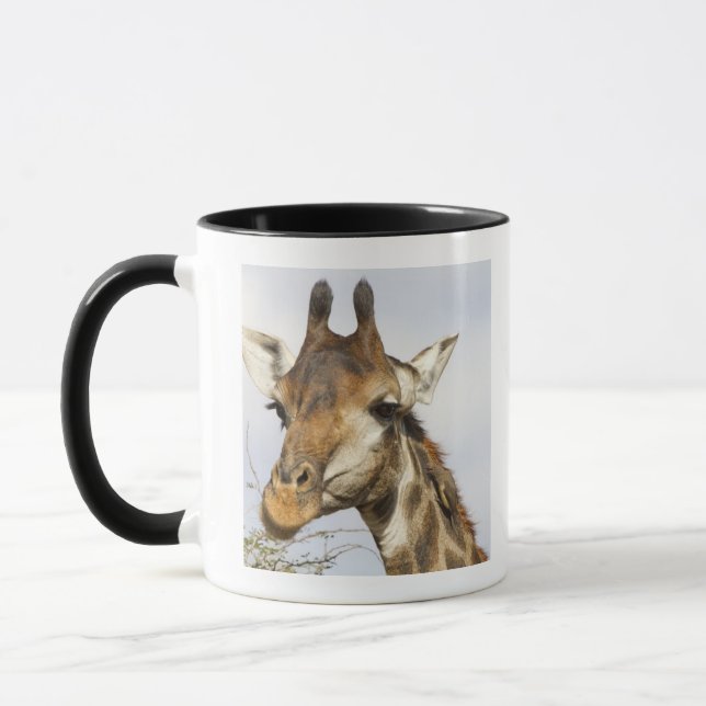 Giraffe, Kruger National Park, South Africa Mug (Left)