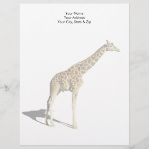 Giraffe Letterhead