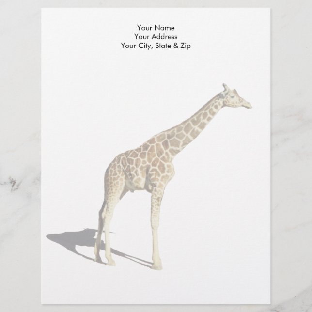 Giraffe Letterhead (Front)