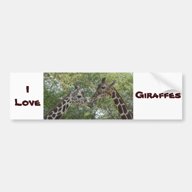 Giraffe Love Bumper Sticker (Front)