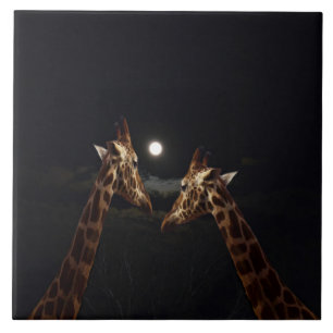 Giraffe Love In The Moonlight, Tile