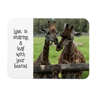 Giraffe Love... Magnet