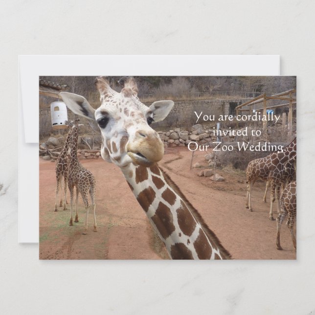 Giraffe love Wedding Invitations (Front)