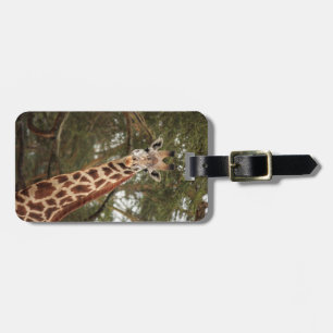 Giraffe Luggage Tag
