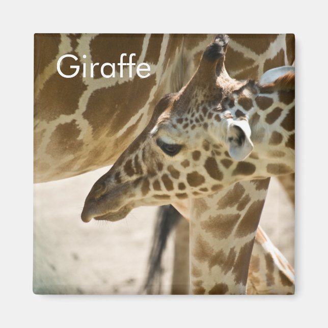 Giraffe • Magnet (Front)