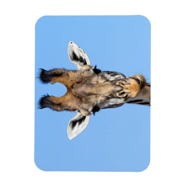 Giraffe Magnet (Vertical)