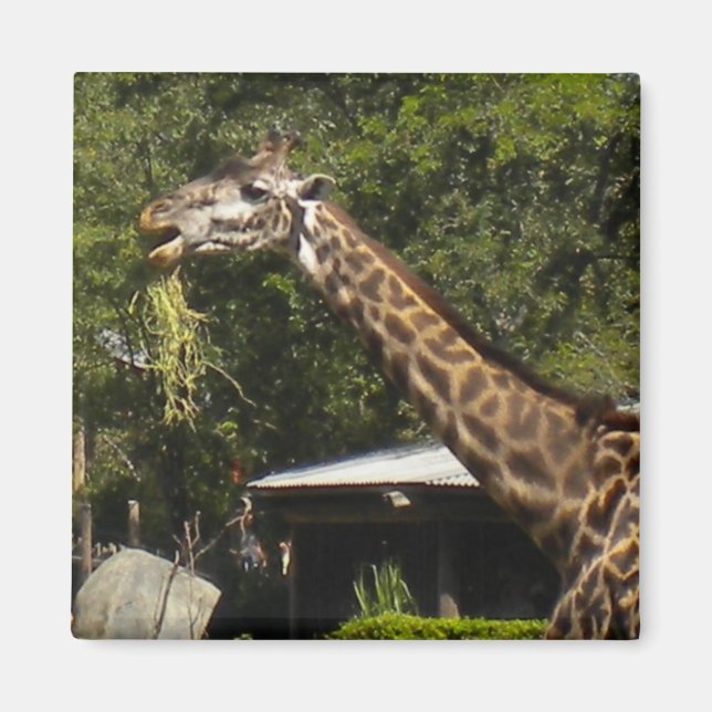 Giraffe Magnet (Front)