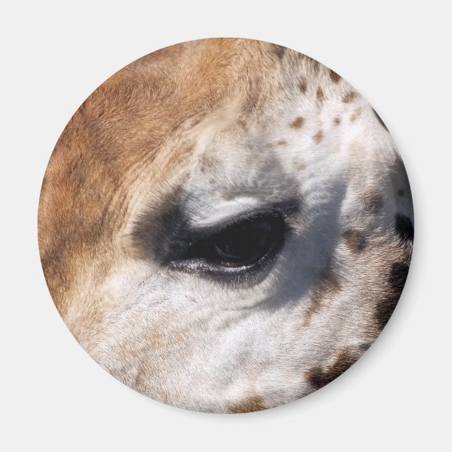 GIRAFFE   MAGNET (Front)