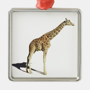 Giraffe Metal Ornament