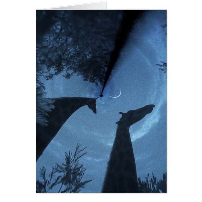 Giraffe Moon (Front)