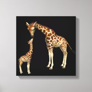 Giraffe Mother and Baby Giraffe Canvas Print