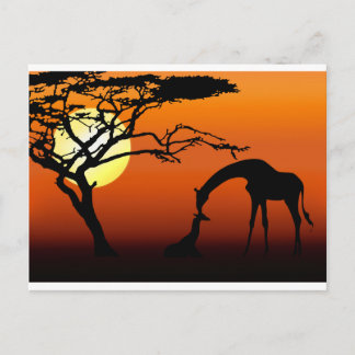 Giraffe Mother and Baby in African Sunset Postcard