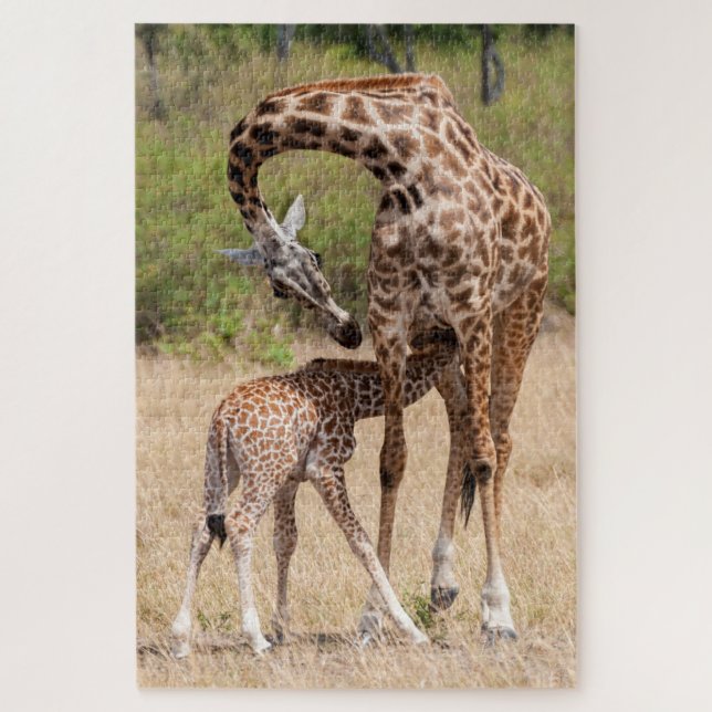 Giraffe Mother and Baby in Kenya Jigsaw Puzzle (Vertical)