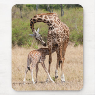 Giraffe Mother and Baby in Kenya Mouse Pad