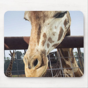 Giraffe Mouse Pad