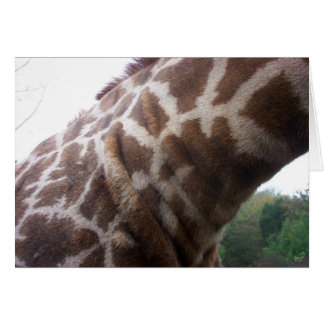 Giraffe Neck
