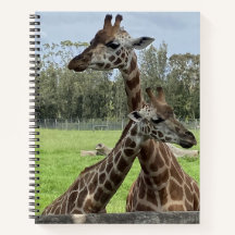 Giraffe - Notebook